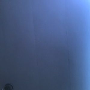 Meet your Posher, Bridget